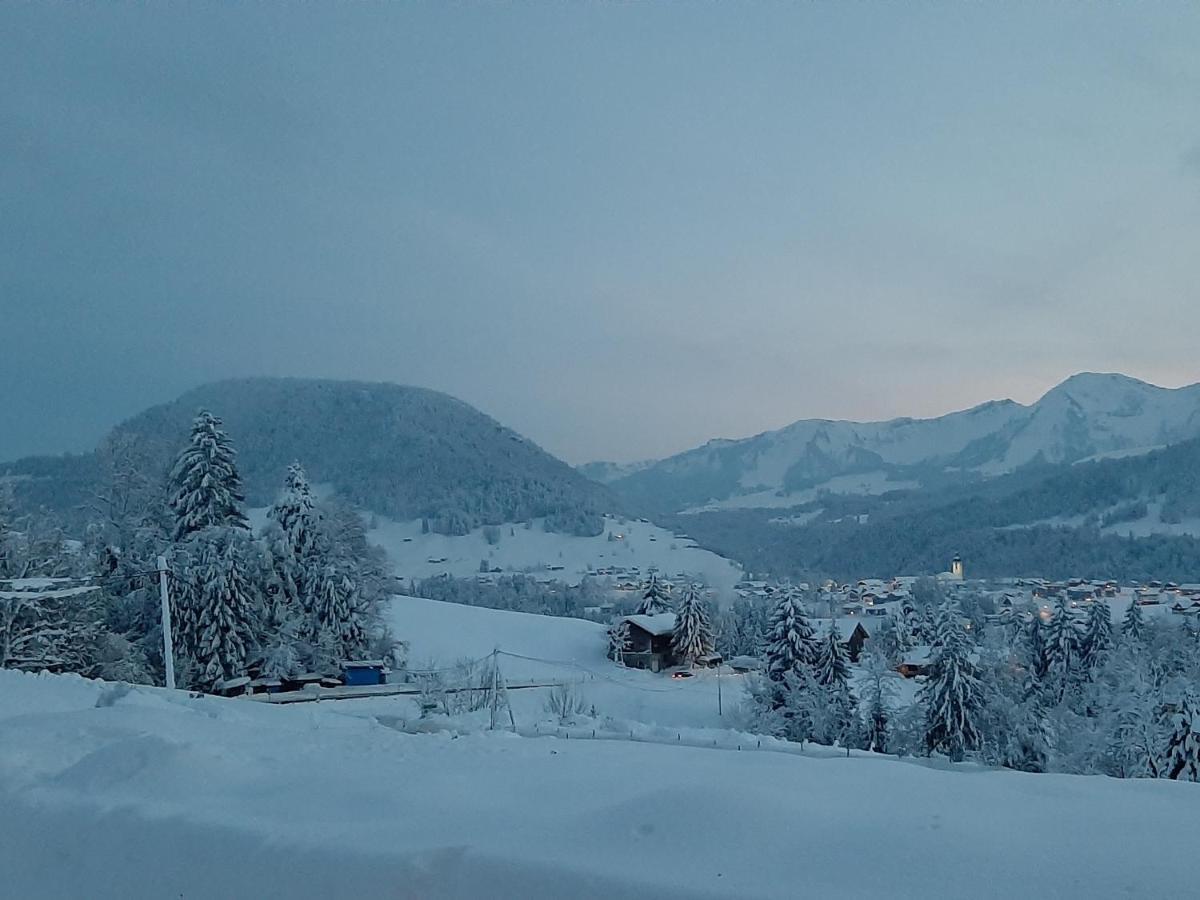 Ferienwohnung Schoenenbuehl Hittisau Buitenkant foto