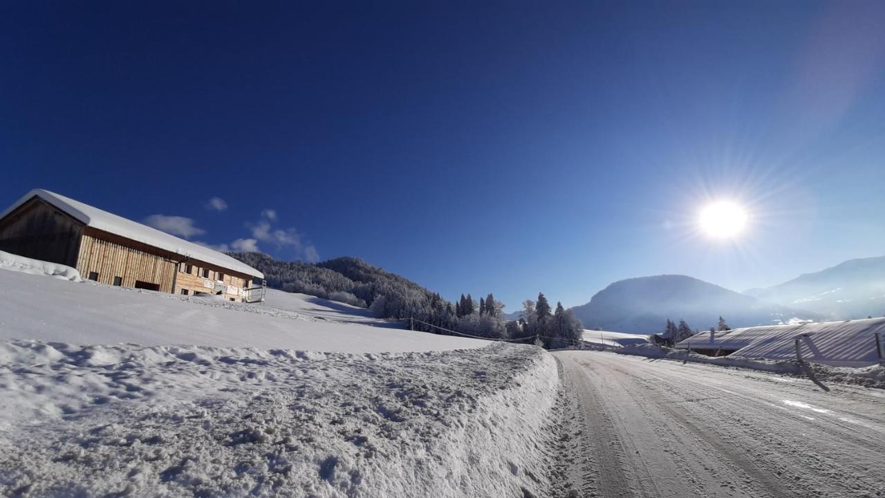 Ferienwohnung Schoenenbuehl Hittisau Buitenkant foto