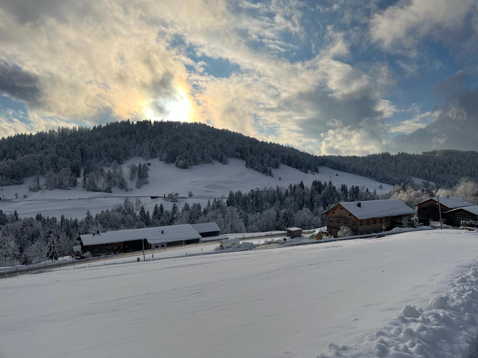 Ferienwohnung Schoenenbuehl Hittisau Buitenkant foto