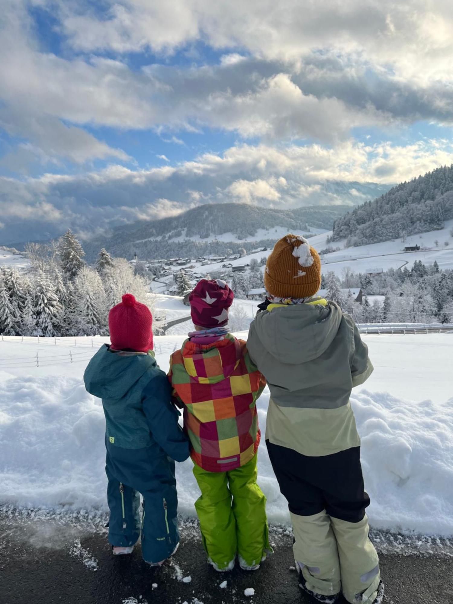 Ferienwohnung Schoenenbuehl Hittisau Buitenkant foto